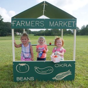 Farmer's Market Playhouse